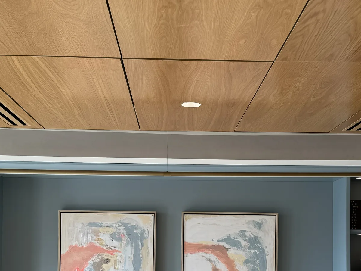 Custom office lighting & controls