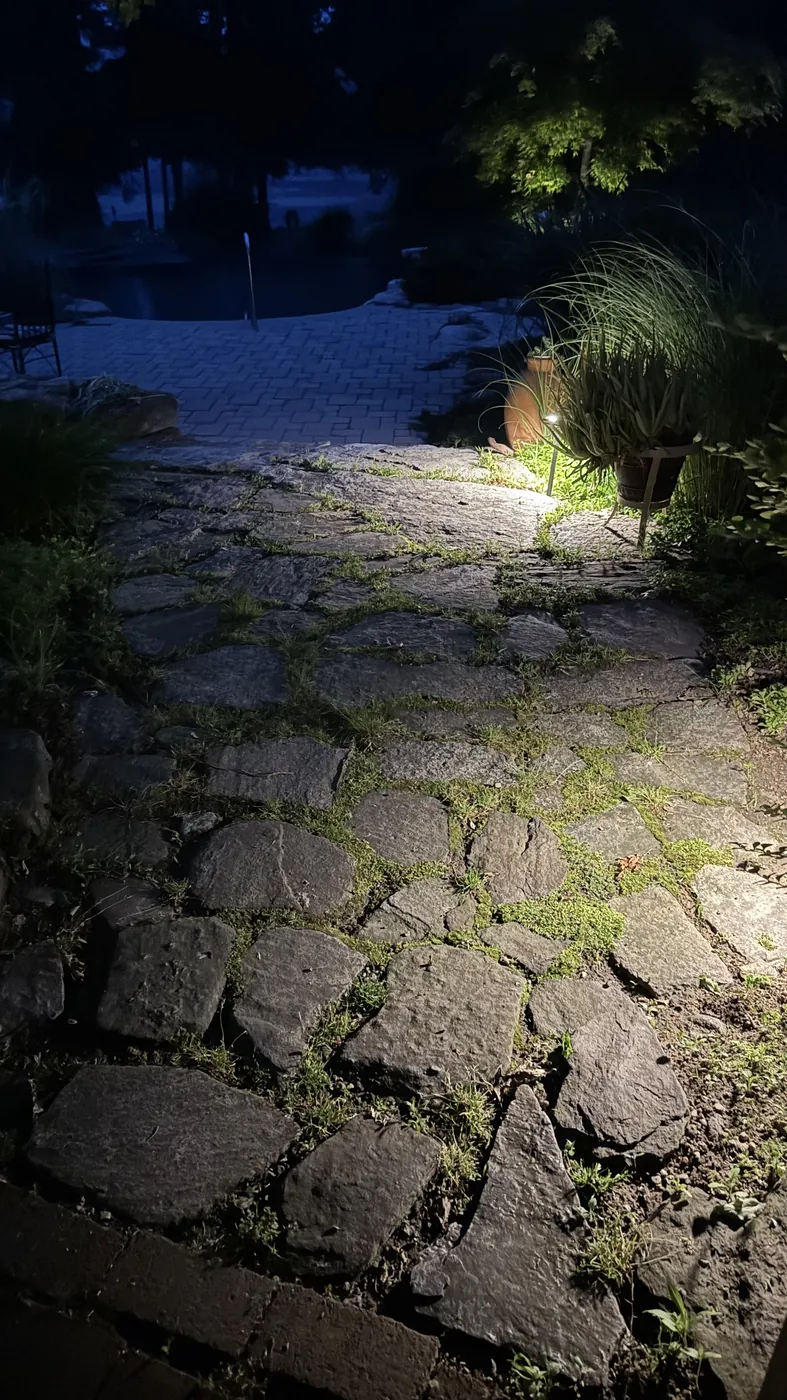 Commercial-grade lighting for a long private driveway - project photo
