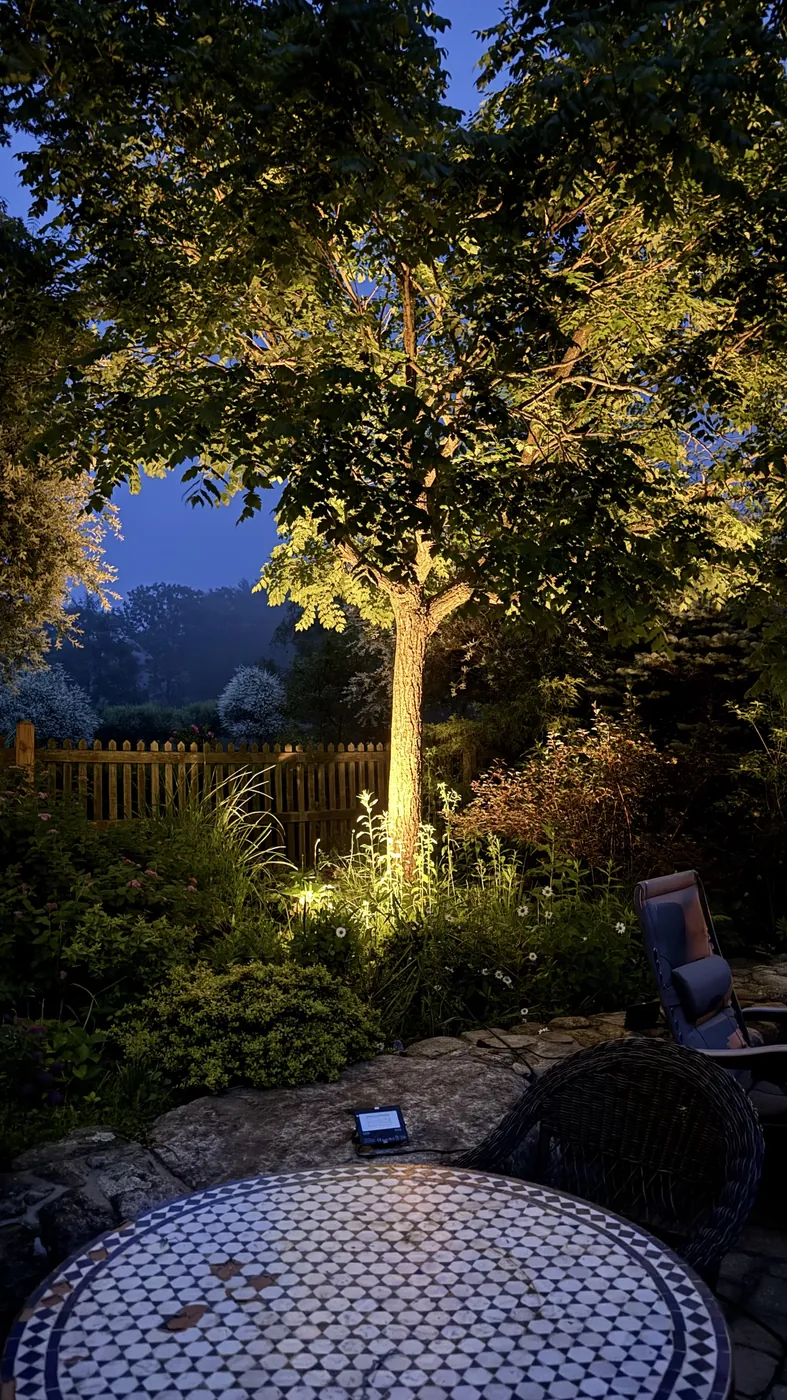Commercial-grade lighting for a long private driveway - project photo
