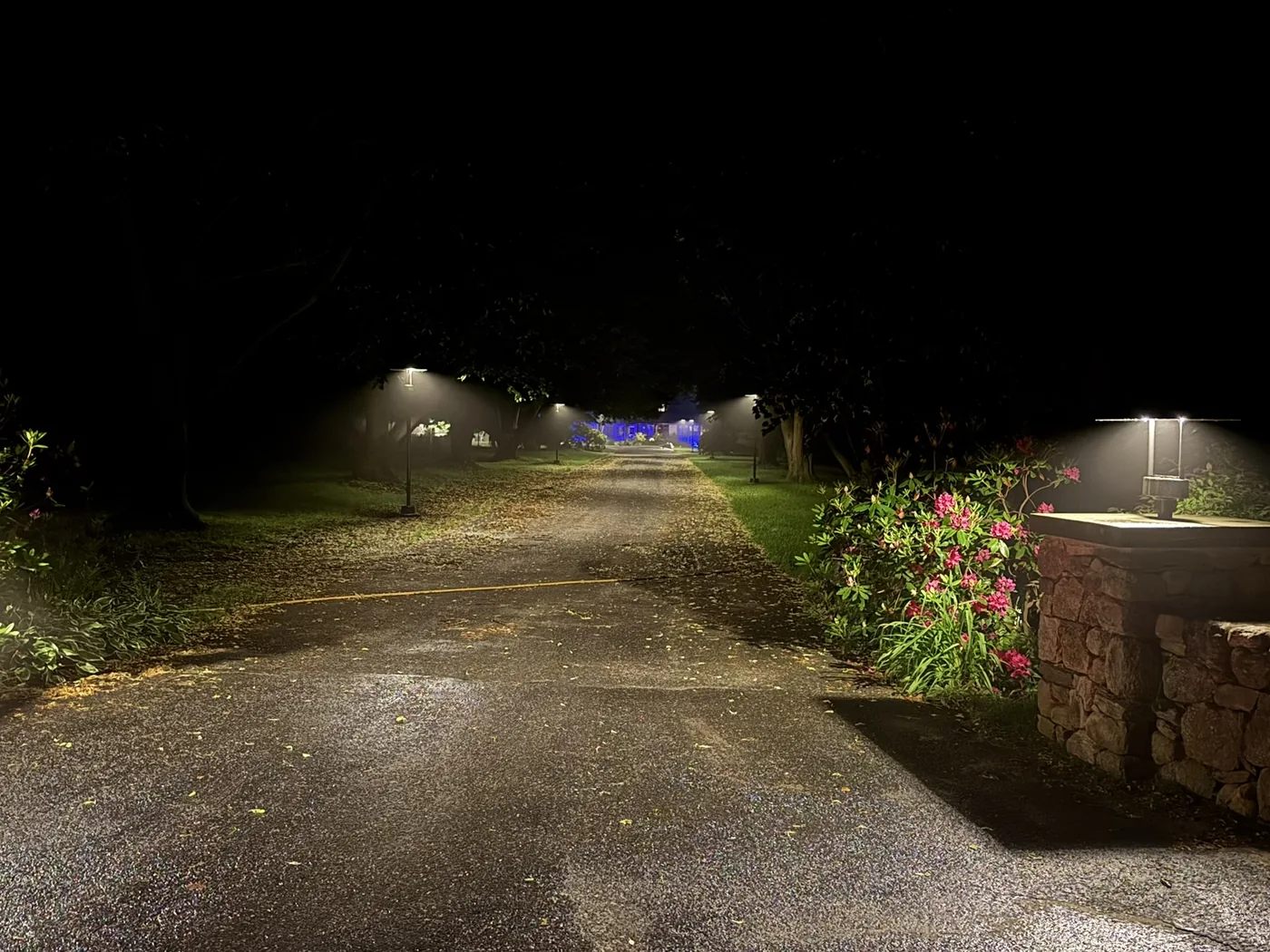 Commercial-grade lighting for a long private driveway - project photo